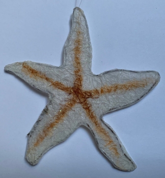 Krepp-Seestern weiss-sand